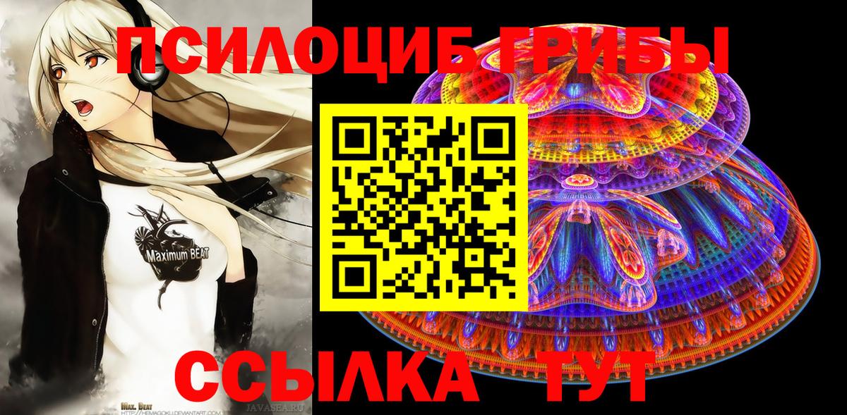 Псилоцибиновые грибы Psilocybine cubensis Конаково